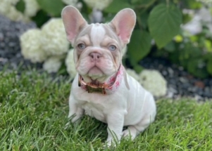 Facetune_17-06-2025-17-00-25