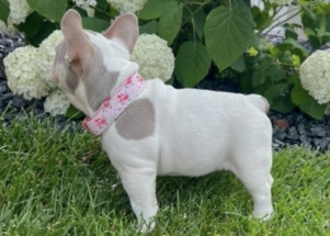 Facetune_17-06-2025-17-03-23