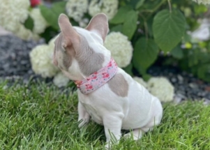 Facetune_17-06-2025-17-04-11