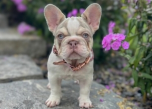 Facetune_17-06-2025-17-06-28