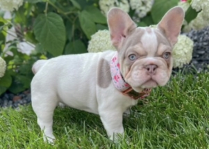 Facetune_17-06-2025-17-08-32