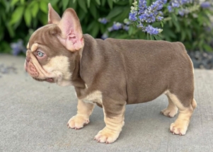 Facetune_01-07-2025-21-30-49