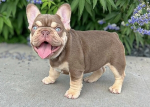 Facetune_25-06-2025-20-11-20