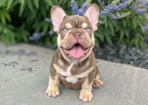 Facetune_25-06-2025-20-12-50