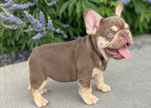 Facetune_29-06-2025-16-07-35