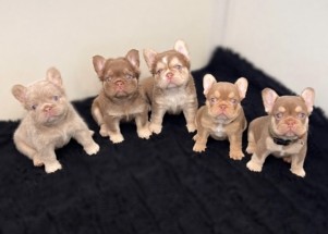 Facetune_03-01-2025-18-08-12