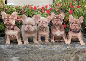 Facetune_03-08-2025-17-30-58