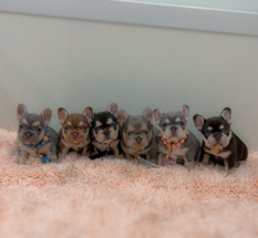 Facetune_06-06-2024-16-12-55