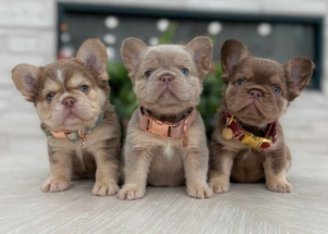 Facetune_10-01-2025-18-00-53