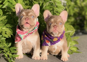 Facetune_17-04-2024-19-12-21