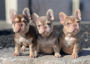 Facetune_18-03-2025-13-02-22