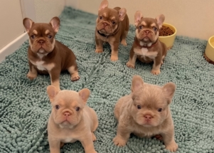 Facetune_19-07-2025-17-53-13