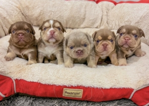 Facetune_19-12-2024-19-09-38