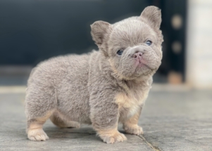 Facetune_22-04-2024-17-50-41