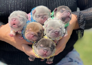 Facetune_23-04-2024-16-06-54