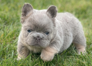 Facetune_23-04-2024-21-00-55