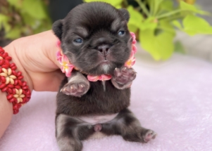 Facetune_23-08-2025-14-34-53