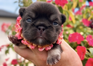 Facetune_23-08-2025-14-36-43