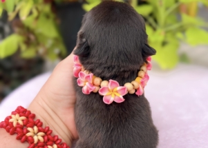 Facetune_23-08-2025-14-37-11