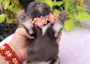 Facetune_23-08-2025-14-38-37