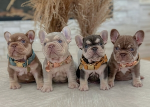 Facetune_29-06-2024-18-54-56