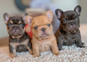 Facetune_29-09-2024-18-05-00