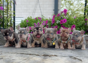 Facetune_30-05-2024-18-09-52