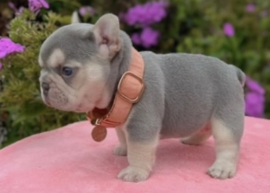 Facetune_04-09-2025-18-33-08