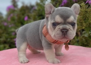 Facetune_04-09-2025-18-34-17