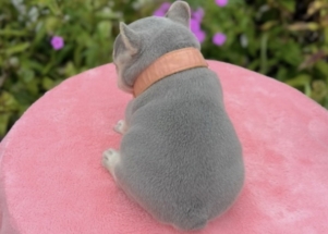 Facetune_04-09-2025-18-36-15