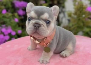 Facetune_04-09-2025-18-37-23