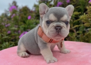 Facetune_04-09-2025-18-38-05