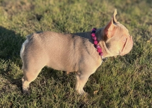 3D59F47C-0307-4D16-BEB5-15CC34BDF9E6