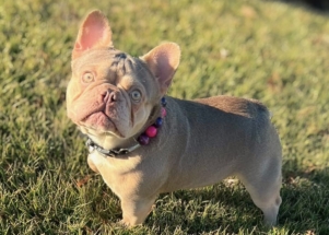 A90BC070-CE67-4E77-8F1D-7C50D443043E